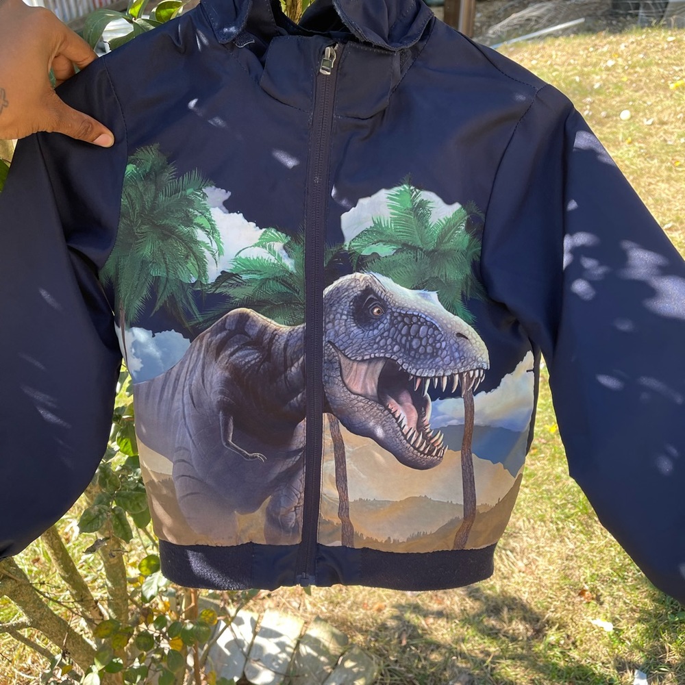 Boys dinosaur jacket.